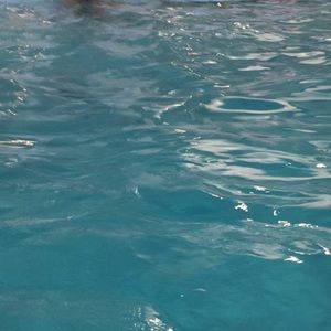 Meet your Posher, Maiai